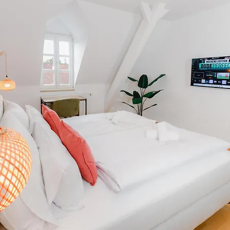 Neu I Alte Post- Historisches Loft Mit Dachterrasse I Zentrumsnah * Straubing