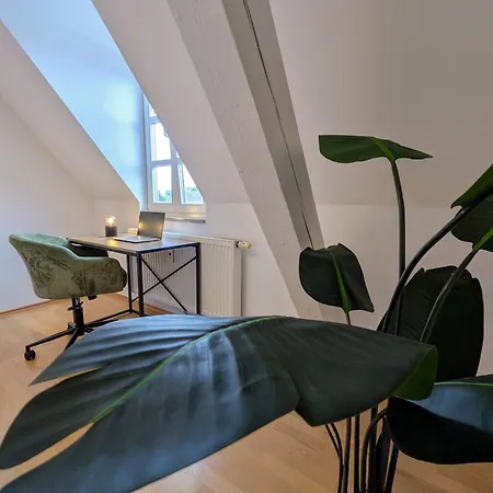 Neu I Alte Post- Historisches Loft Mit Dachterrasse I Zentrumsnah * Straubing
